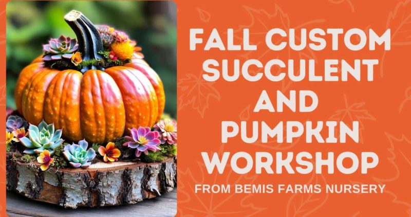 Fall Workshop
